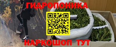 трава Кинель