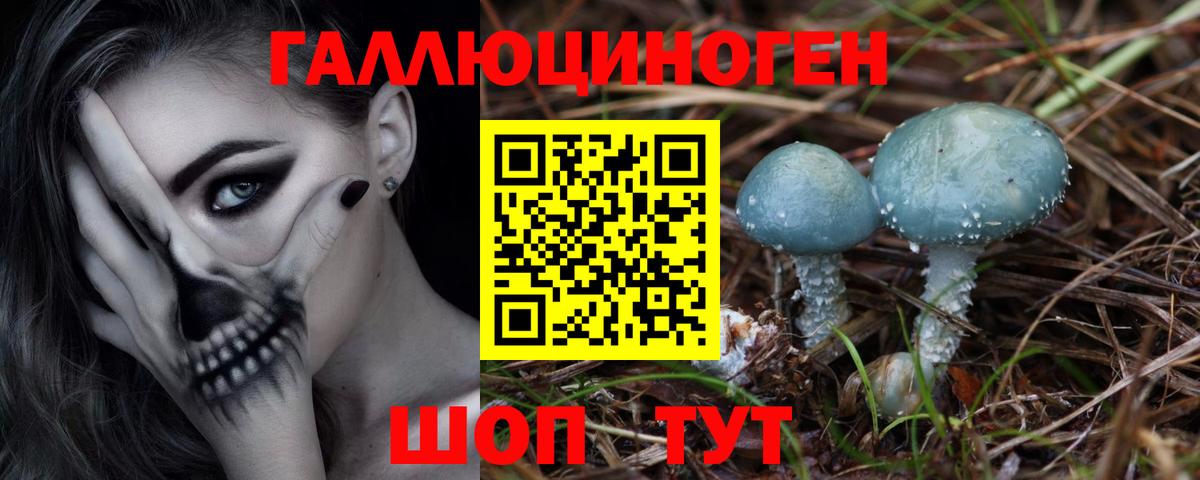 даркнет сайт  Псилоцибиновые грибы ЛСД  Вход с VPN  Кропоткин 